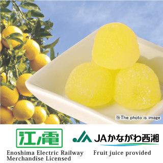 Shonan gold gummy jellies｜ Snacks｜About our product｜Shiino's Shuto